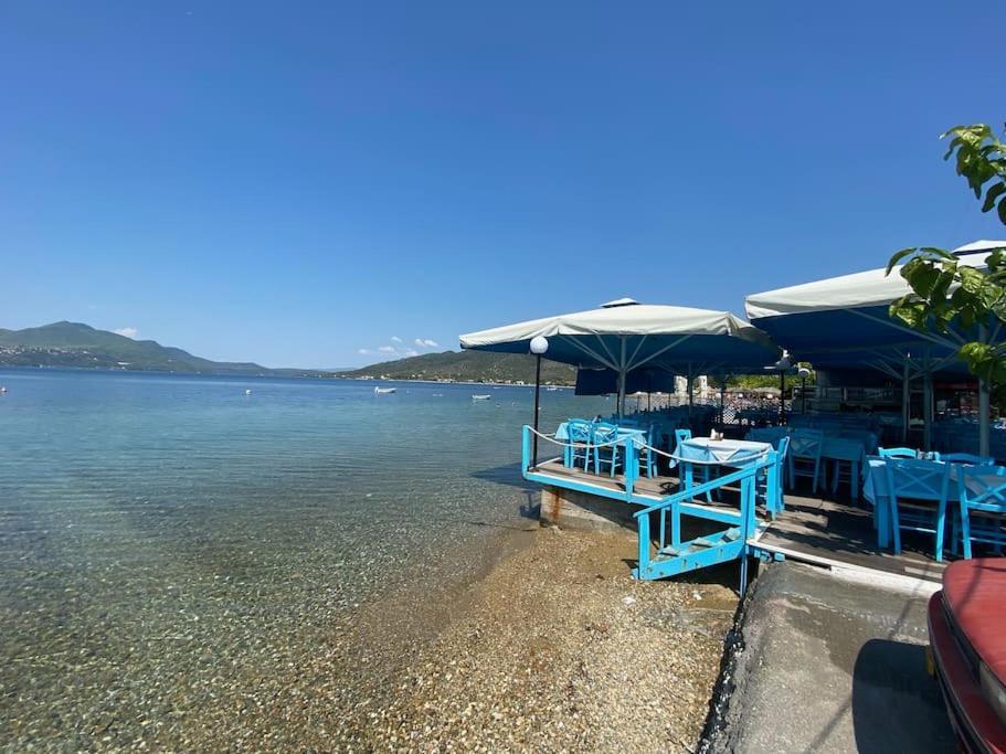 Villa Oleander Agios Nikolaos Loutra Edipsou 外观 照片