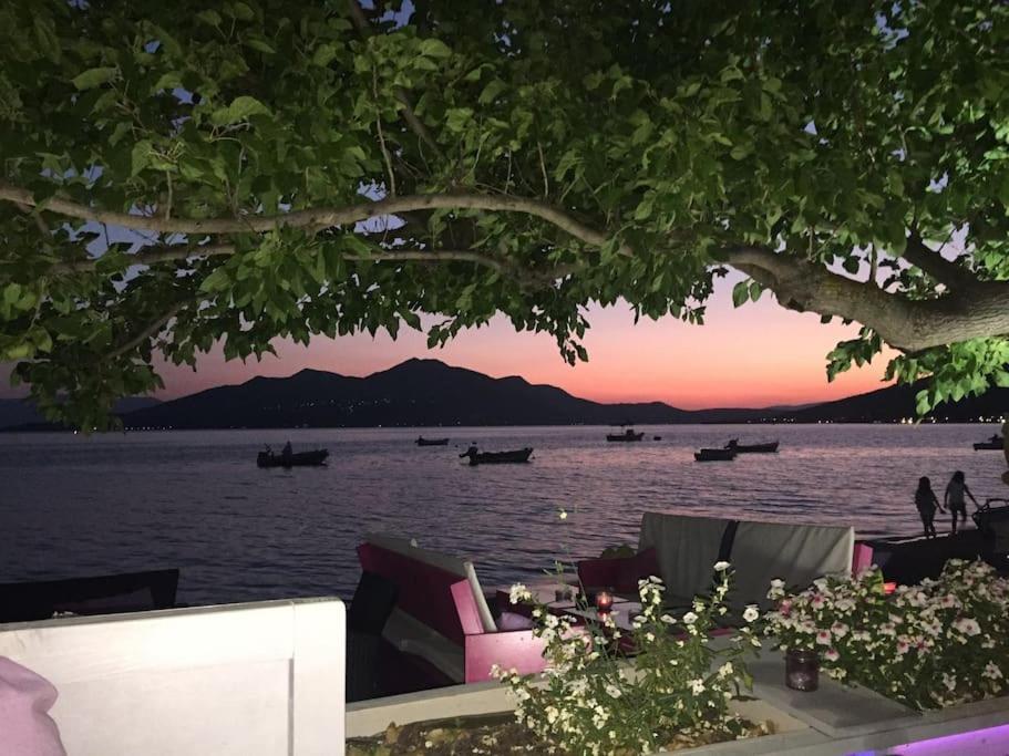 Villa Oleander Agios Nikolaos Loutra Edipsou 外观 照片